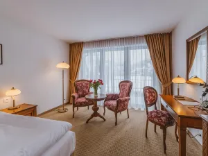 Hotel Paryski Art & Business Zakopane - Basen Jacuzzi Sauna Małpi Gaj