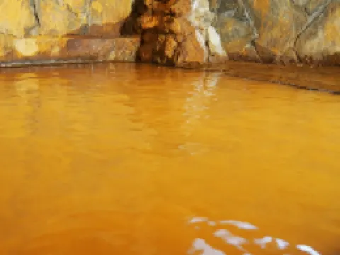 臼杵　鷺来ヶ迫（ろくがさこ）温泉　源泉　俵屋旅館　コト白鷺館 臼杵のホテル