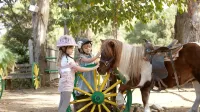 Grecotel LUXME Oasis at Riviera Olympia & Aqua Park Hotels in 