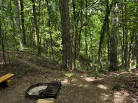 Charming A-frame cabin set in the woods overlooking deep wooded ravines. Hotels in Coles County