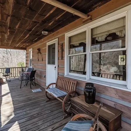 Cozy cabin for 4, 2 King size beds.  Porch with view of lake. Full kitchen.