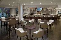 邁阿密機場喜來登酒店及行政會議中心 - 酒吧