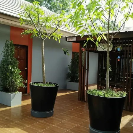 Thai House Hotel & Resort Hat Yai