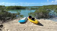 Blue Hole Lodge - Bonefish Heaven with Blue Hole in Backyard - Bintang 4