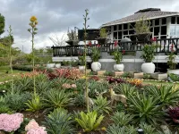 La Cantane Villa -  Ferienhäuser