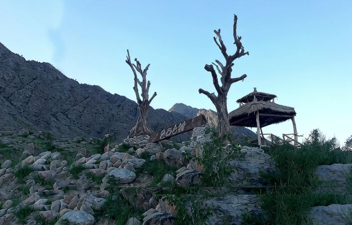 Helan Mountain Rock Art Ancient Village Ancient Forest Homestay