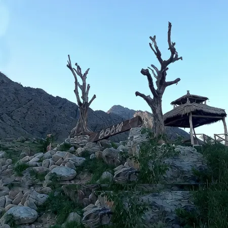 Helan Mountain Rock Art Ancient Village Ancient Forest Homestay