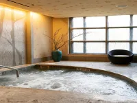Park Hyatt Beaver Creek Resort and Spa - Gym