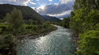 Charming, with views, comfortable and centrally located. Close to the river and the National Park. - Homestays