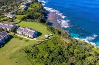 Full Ocean View, Great For Whale Watching - Wifi