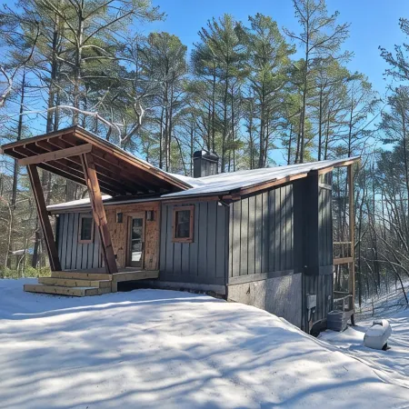 Lux Blue Ridge Cabin, Hot tub, Swing, & PingPong!