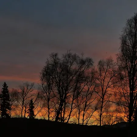 Talkeetna Chalet