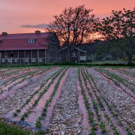 Beautiful beachfront Villa on 80 acres of farmland!