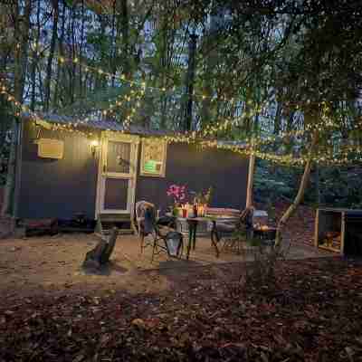If you go into the woods today... Off-grid yet comfy, warm and luxurious Hotel Exterior