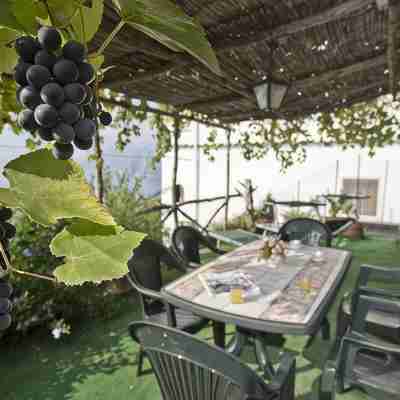 li galli praiano holiday home in the heart of the amalfi coast and positano Dining/Meeting Rooms
