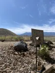 Home on the Range