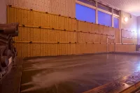 Hotel Sekumiya - Hot Springs