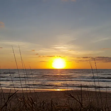 Sunshine Daydream in the heart of Flagler Beach