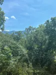田納西湯森德月桂谷新建溫馨寧靜一側木屋（無陡坡路） - 木屋