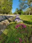 Whiskey Ridge Retreat a Cozy Pet and Family Friendly Getaway - 2-Star