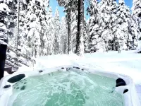 Luxe Tahoe Cabin - Midcentury Modern CLOSE to Lake, Palisades, Edge of Forest - シャレー