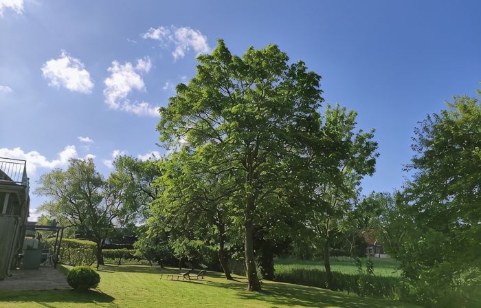 Haus im Seewind II, 70sqm - Country house with large garden, near Friesenstrand
