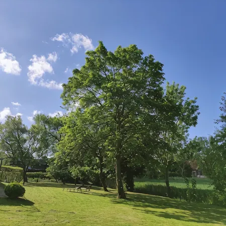 Haus im Seewind II, 70sqm - Country house with large garden, near Friesenstrand
