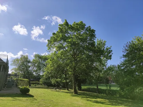 Haus im Seewind II, 70sqm - Country house with large garden, near Friesenstrand