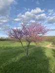 Private Trout Pond Retreat. Near Seneca Lake Wine Trails & Watkins Glen