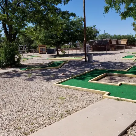 Kingman Koa