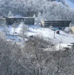 Sugar Mountain- Sweet Suite