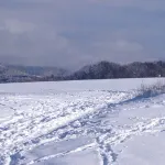 holiday apartment with view of the mountains of the Harz, pets are welcome - homestay
