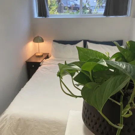 Natural Nook by Nelson lakeside park. Downtown walkable and pet friendly!