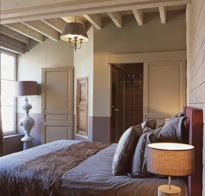 Hotel Du Grand Cerf & Spa - piscine