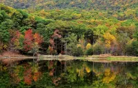 Secluded Pet-Friendly High-Tech Log Cabin in the Woods - 샬레 호텔