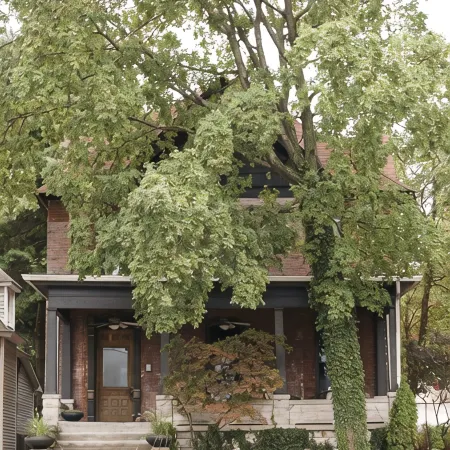 Industrial Modern House for Sleep + Play