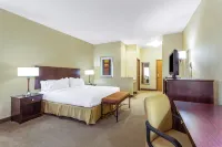 ฮอลิเดย์ อินน์ เอ็กซ์เพรส แอนด์ สวีทส์ โนกาเลส บาย IHG - สัตว์เลี้ยง