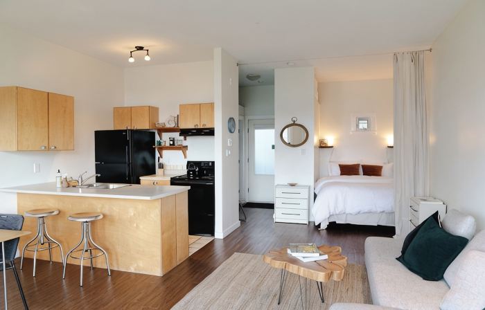 Goodview Suite - licensed waterfront studio with a fireplace and patio