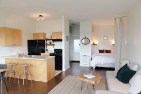 Goodview Suite - licensed waterfront studio with a fireplace and patio