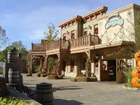 The Stone Crest Villa - Near Stone Mountain Park - Wifi