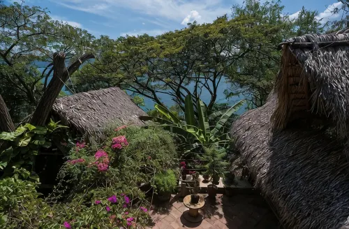 Casa Marimba - Thân thiện với thú cưng