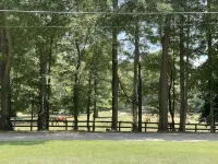 Perfect Location!! Amazing View!! Country Serenity & Mins to All Atlanta Events! - 民宿