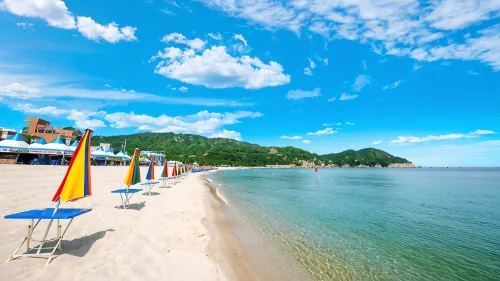 Samcheok Jangho Good Morning Pension - Wi-Fi