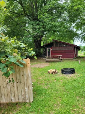 "Coop-Ahhh Cabana "Glammock" campsite near Dupont State Forest! - Homestays