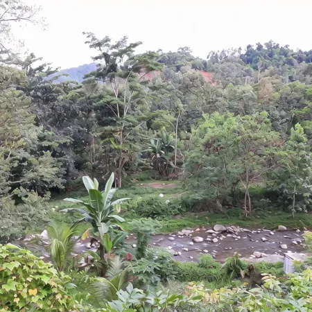 Hotel Agrowisata