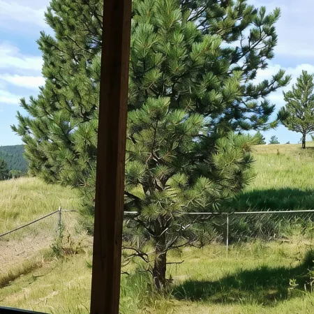 Private Country Cottage in the Black Hills