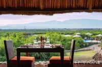 Buffalo Safari Lodge - Pet-friendly