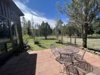 Private Mountain Retreat with room to roam! Horses welcome! - Hytter