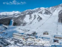 THE ALPS HOTEL HAKUBA - avec sources thermales