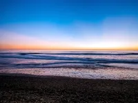 The Marbella - Ocean View